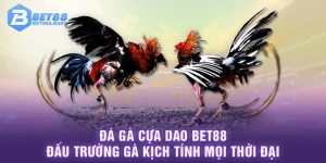 Đá gà cựa dao BET88 đấu trường kịch tính mọi thời đại