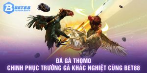 Đá Gà Thomo Chinh Phục Trường Gà Khắc Nghiệt Cùng BET88