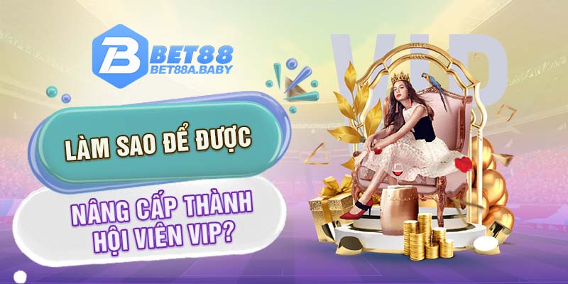 Làm sao để được nâng cấp thành hội viên Vip?