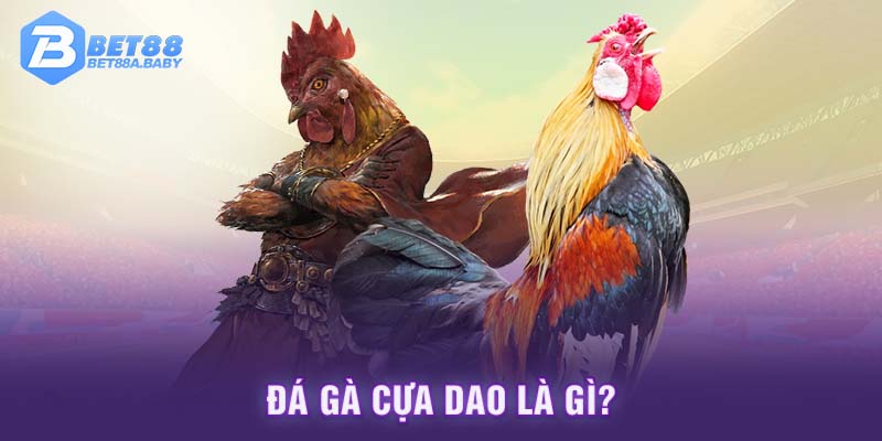 Đá gà cựa dao là gì?