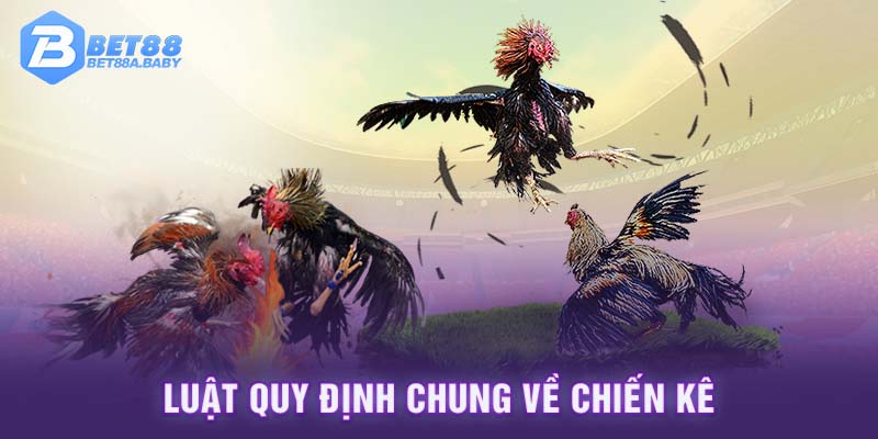 Luật quy định chung về chiến kê