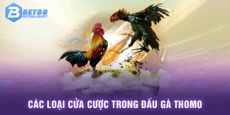 Các loại cửa cược trong đấu gà Thomo