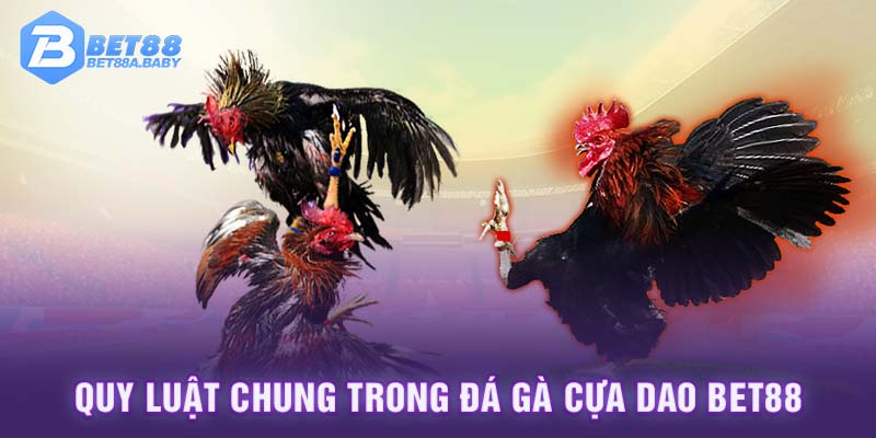 Quy luật chung trong đá gà cựa dao BET88